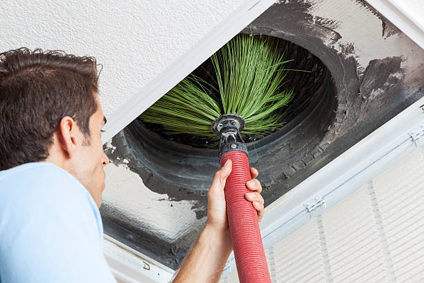 Best Local Air Duct Cleaning Services  in Palos Verdes Estates, CA